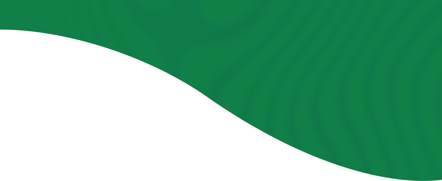 section background