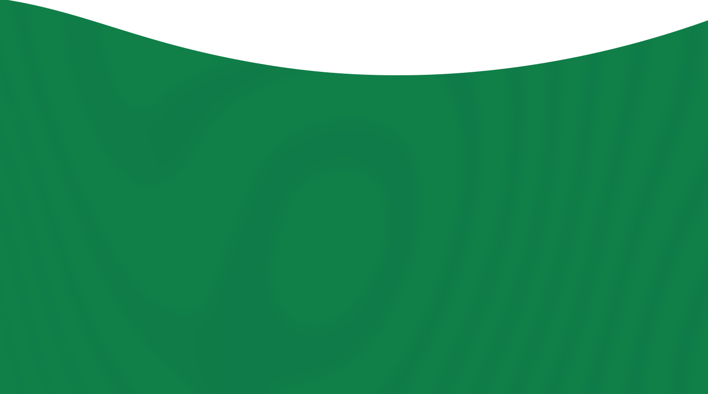section background